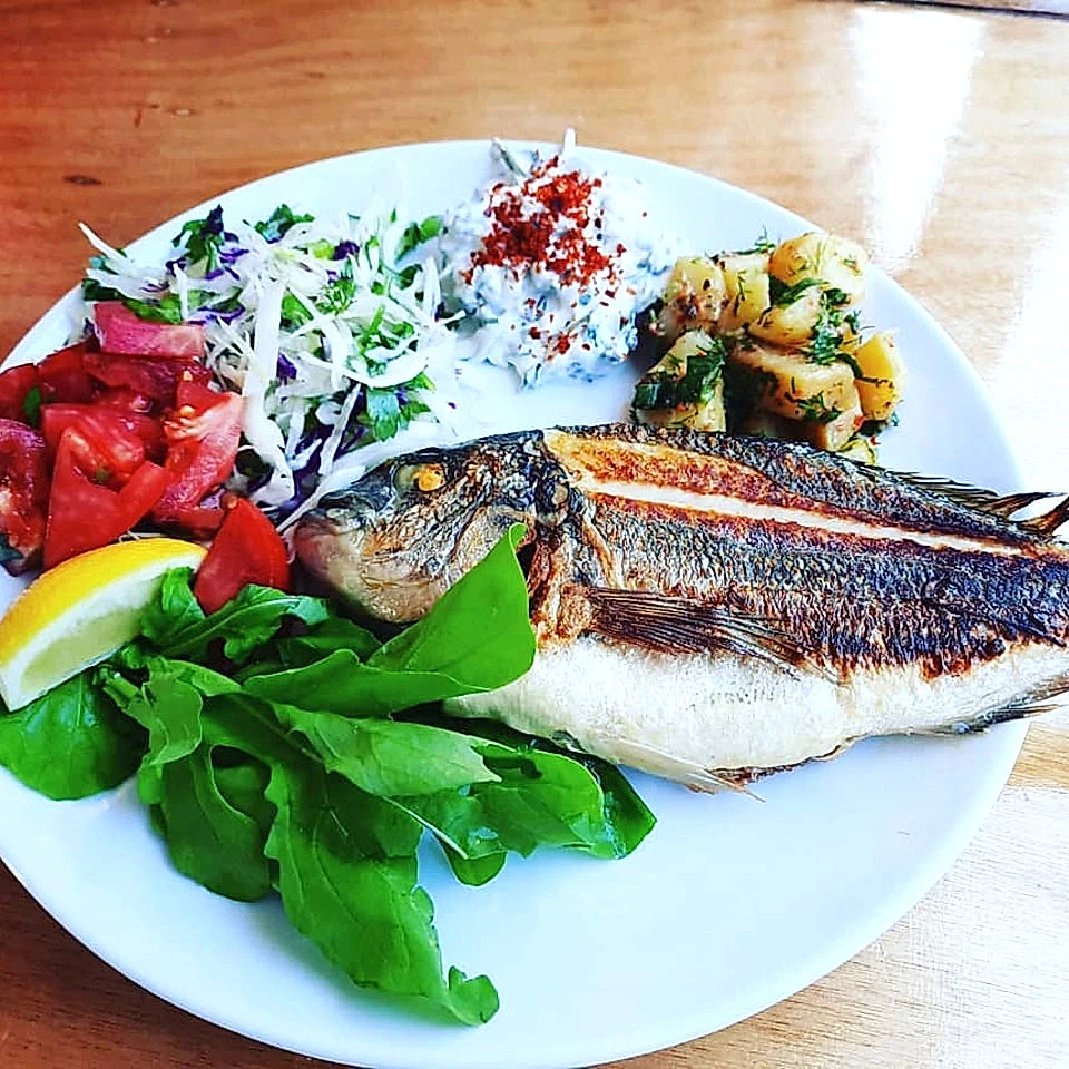 her tur ilk tur gibi